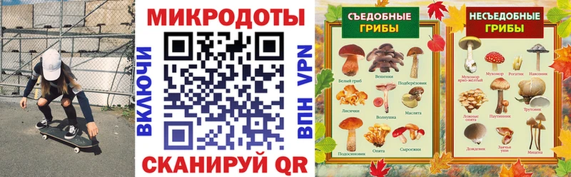 omg рабочий сайт  Старица  Галлюциногенные грибы мухоморы 